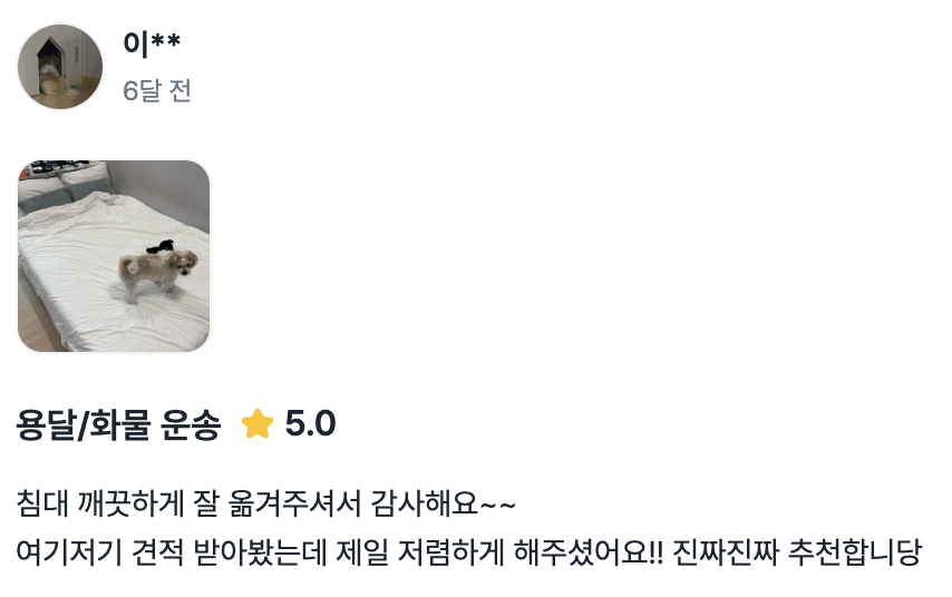 당고 고객 리뷰 사진 11